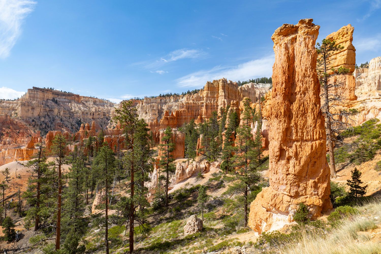 Hike in Bryce Canyon