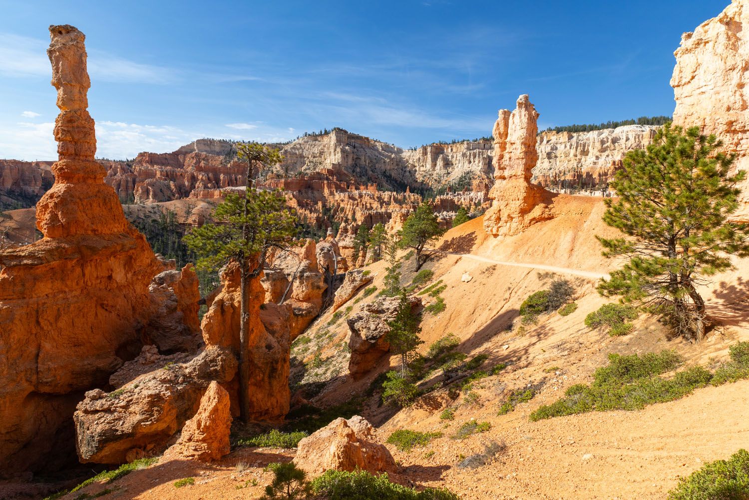 Peekaboo Loop Figure 8 Trail