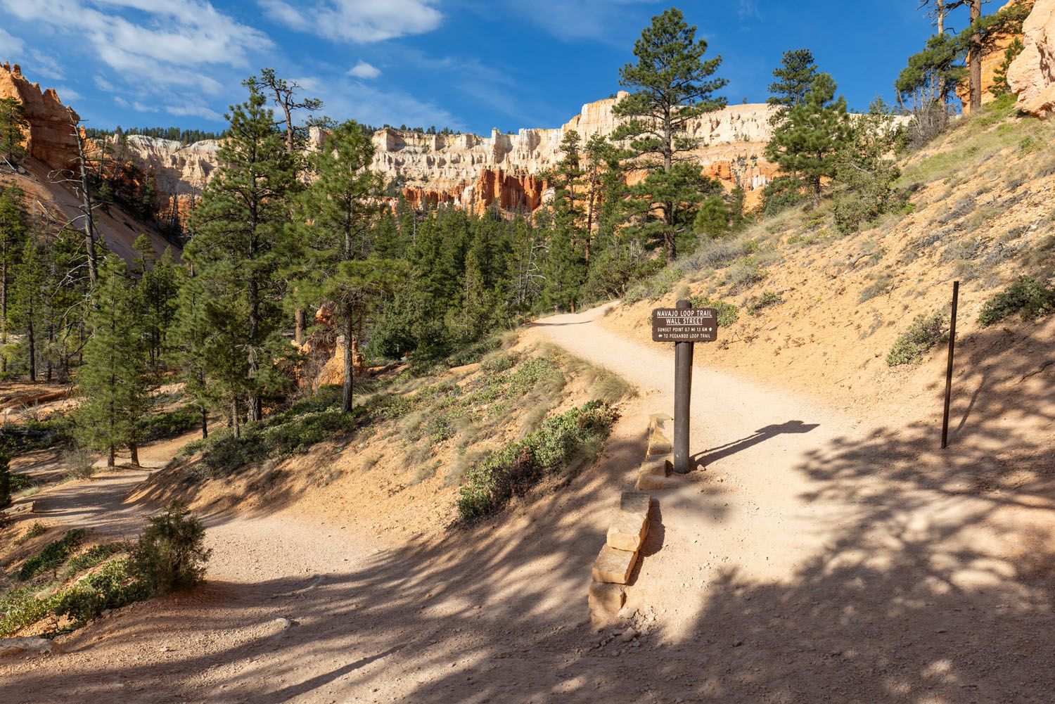 Peekaboo Trail Split