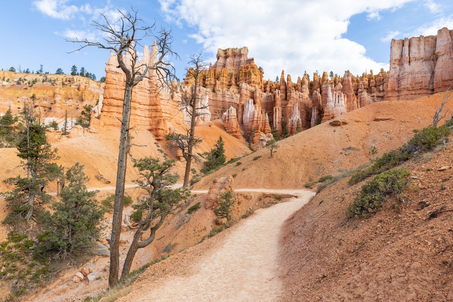 Queens Garden Figure 8 Trail