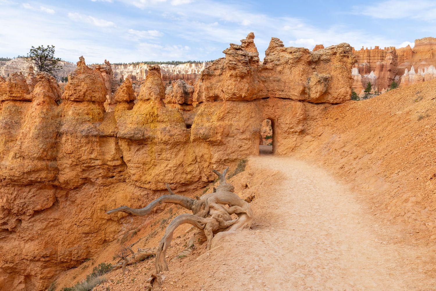 Queens Garden Trail Tunnel