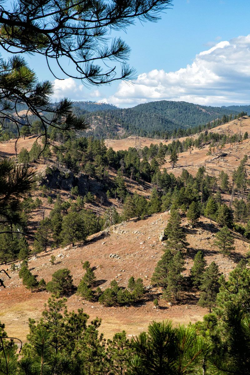 Things to Do in Wind Cave