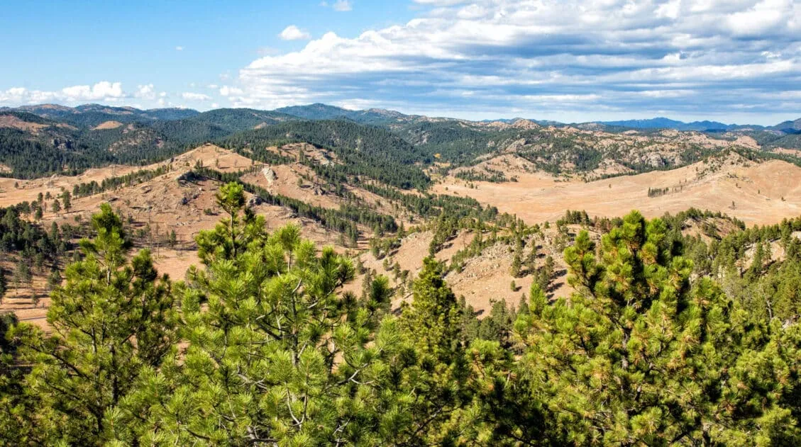 Wind Cave National Park Photo