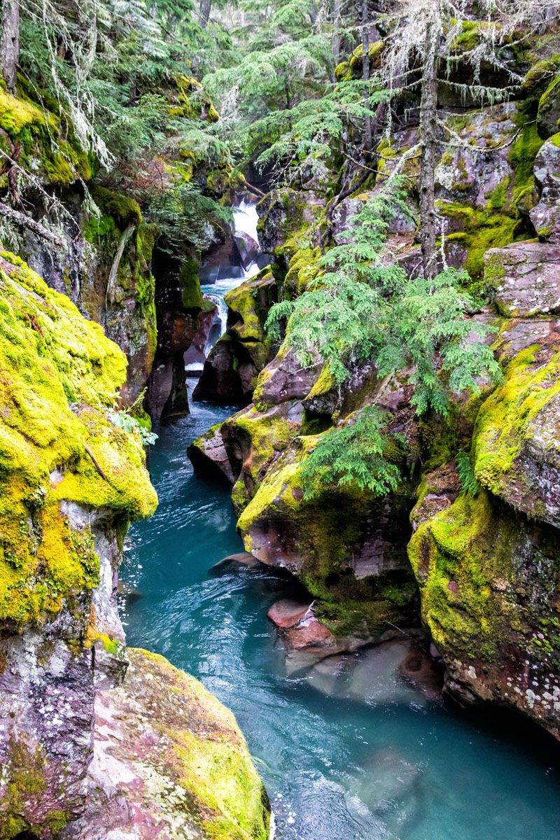 Avalanche Gorge Glacier NP