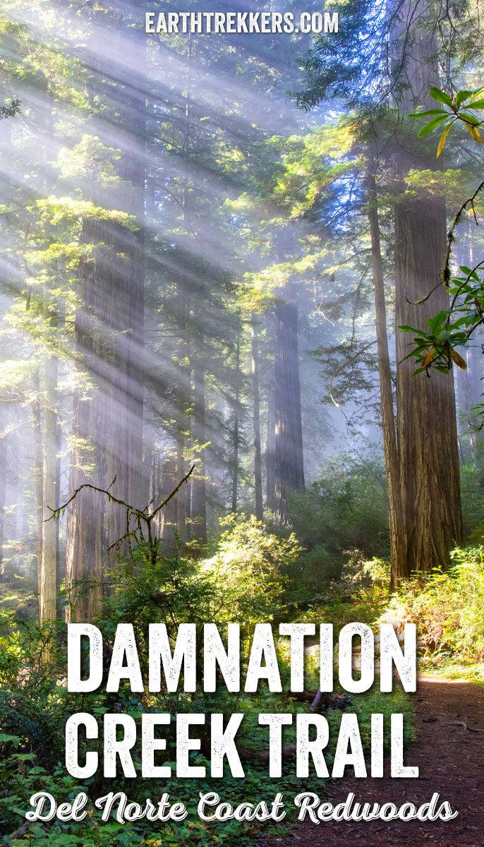 How to hike the Damnation Creek Trail in Del Norte Coast Redwoods State Park, California.