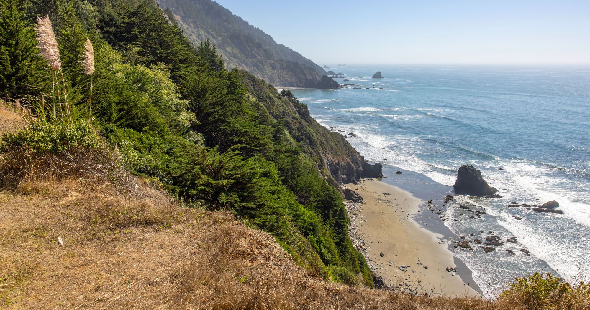 Del Norte Coast Redwoods Photo