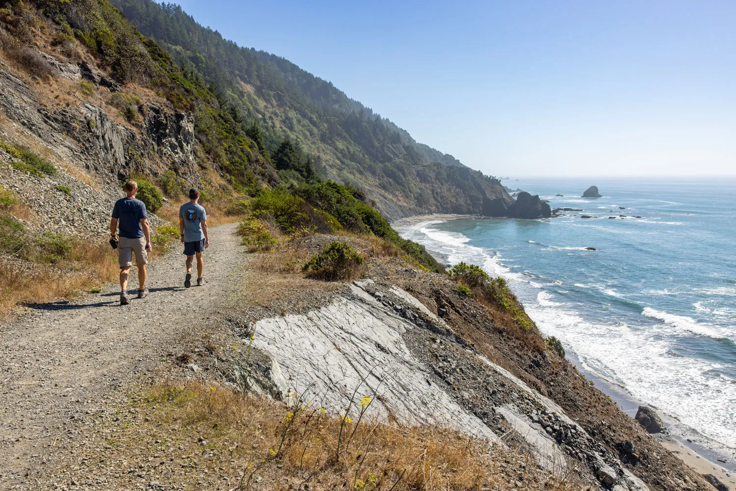 Endert Beach Trail Del Norte Coast Redwoods