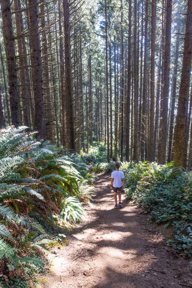 Indian Sands Trail