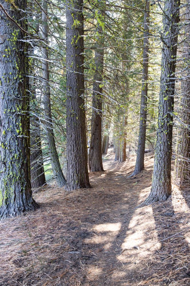 Manzanita Lake Loop Trail