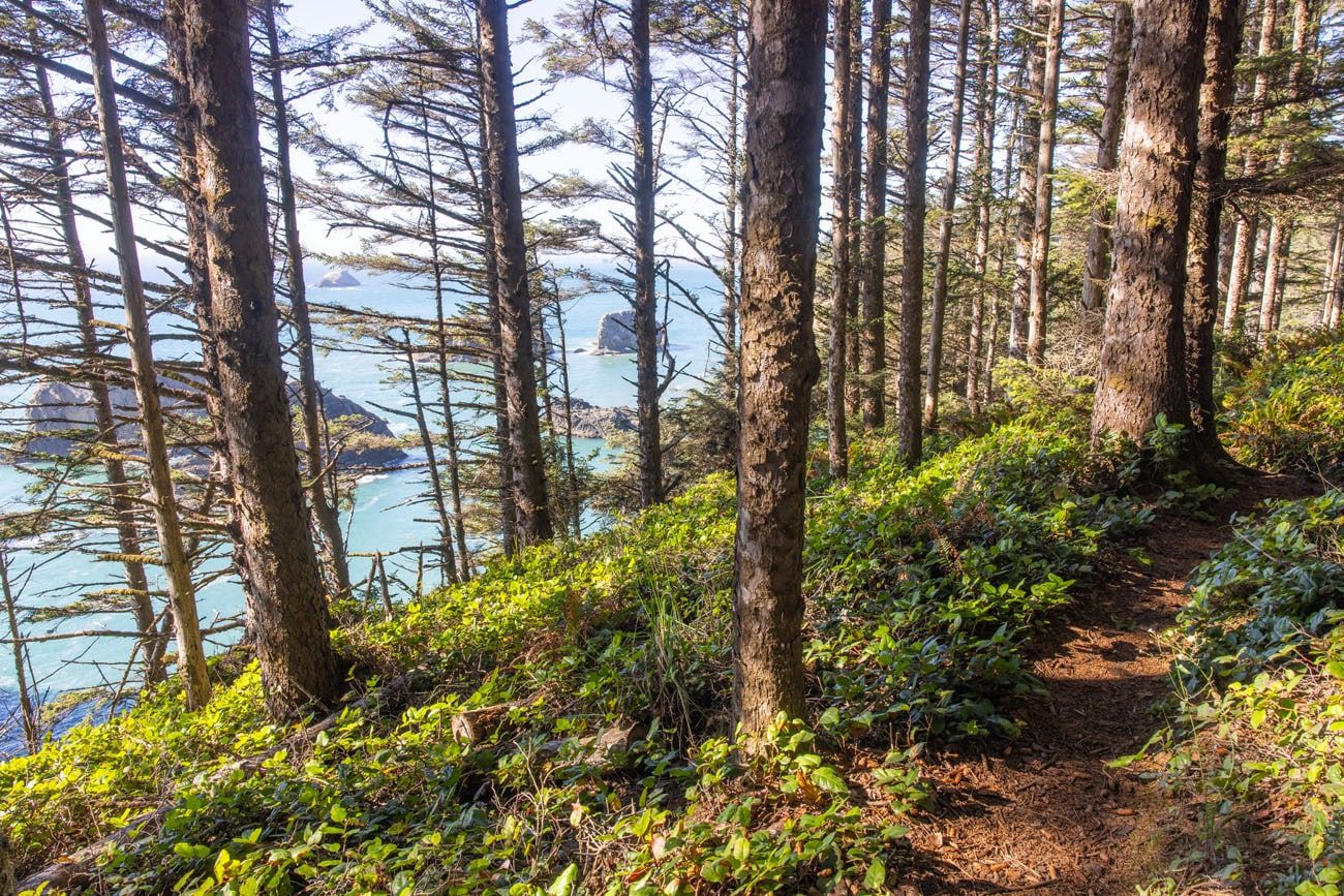 Spruce Island Trail