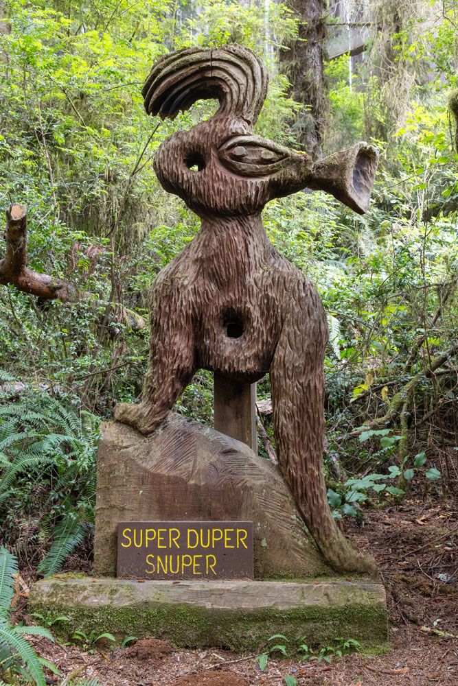 Super Duper Snuper