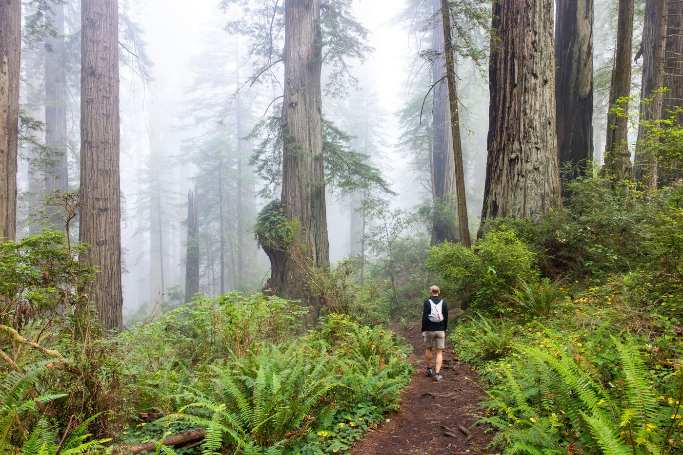 Tim Hiking the Damnation Creek Trail