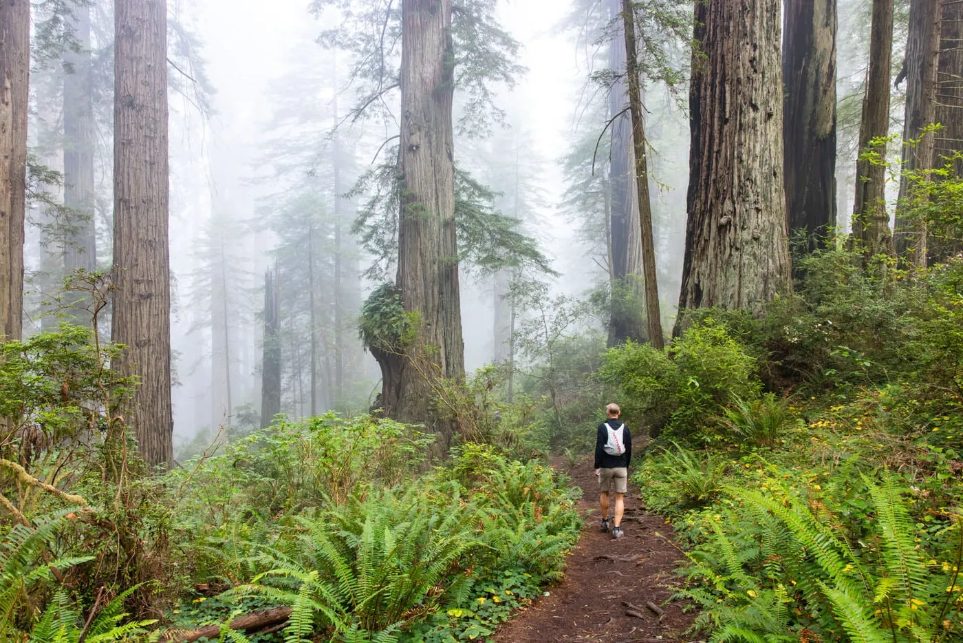 Tim Hiking the Damnation Creek Trail