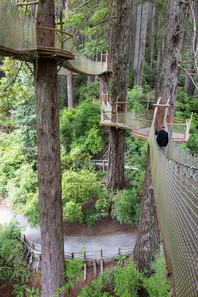 Trees of Mystery Suspension Bridges