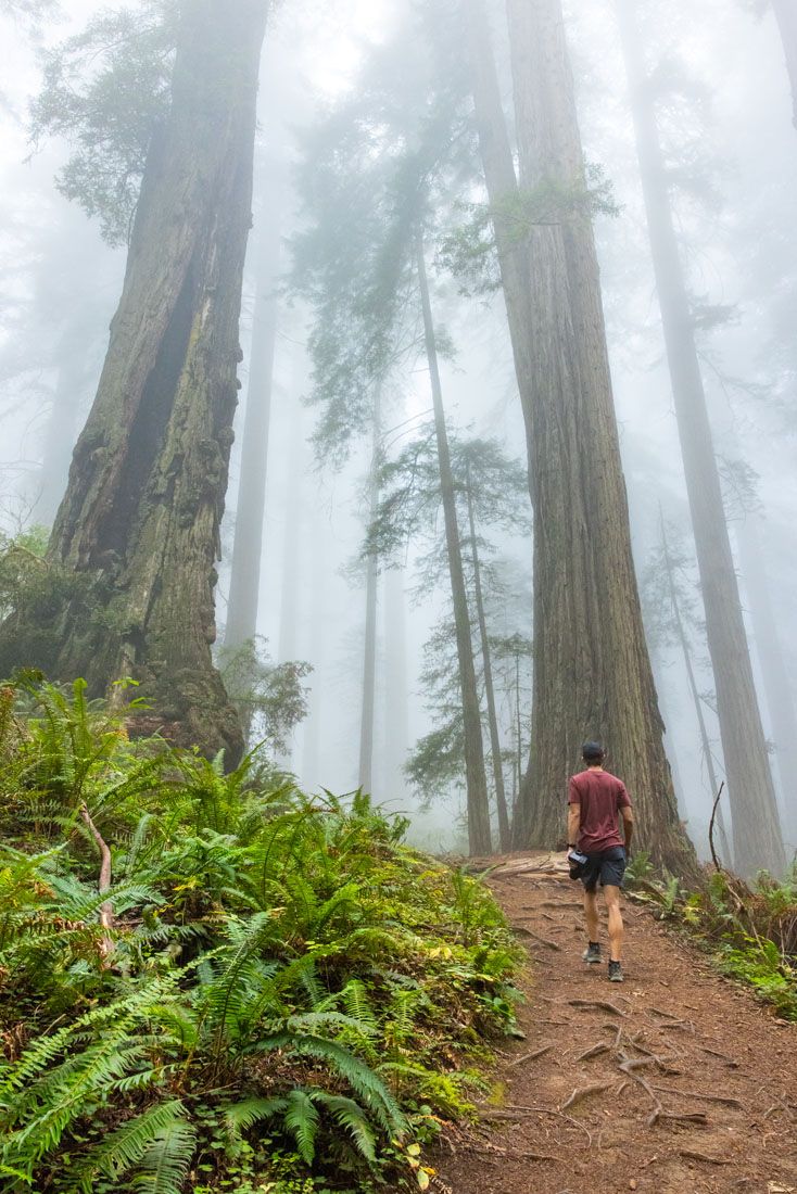 Tyler Hiking the Damnation Creek Trail