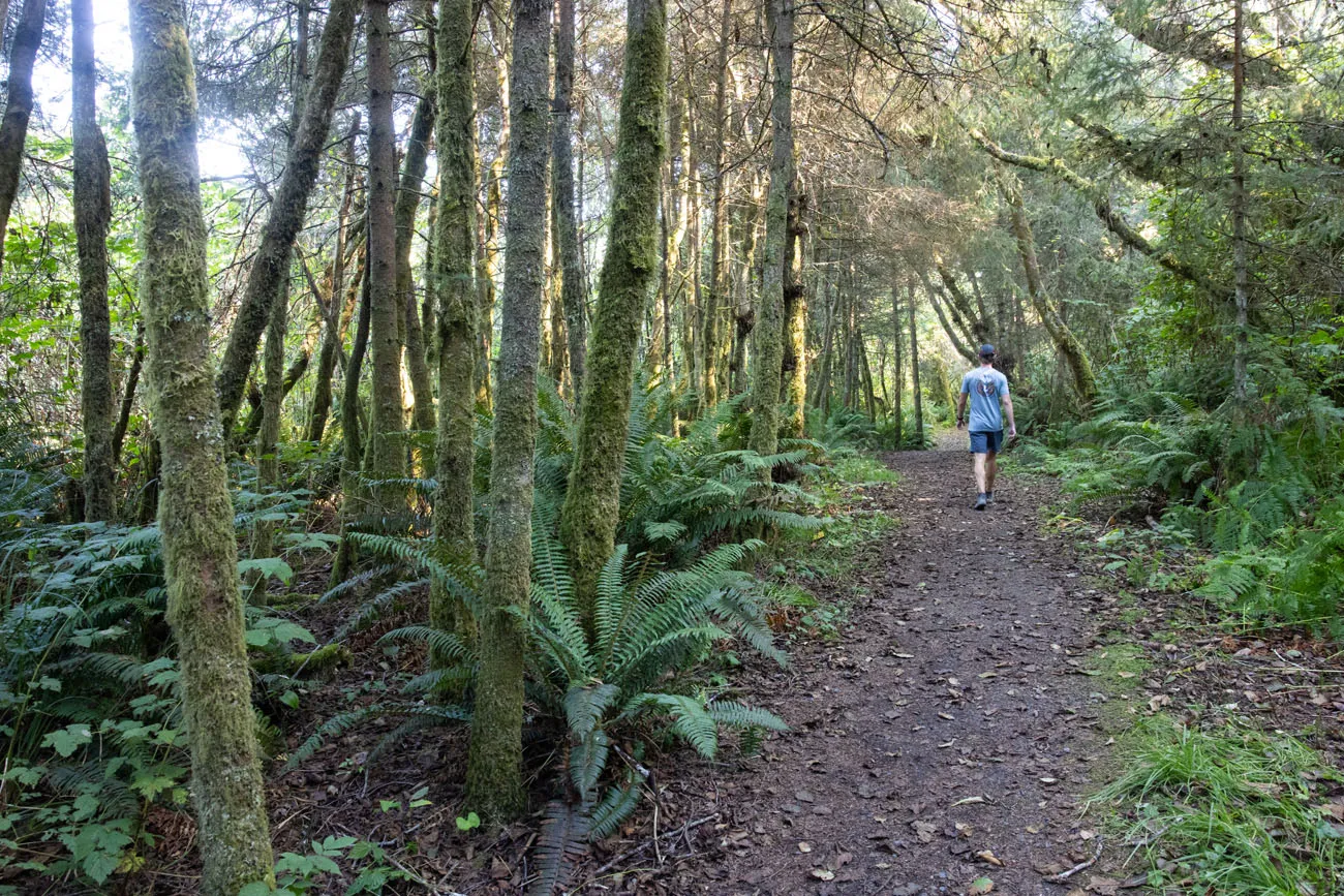 Yurok Loop Trail