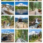 Best hikes in Mount Rainier National Park in the Sunrise, Paradise, and beyond: hike the Skyline Trail, Tolmie Peak, Grove of the Patriarchs, Mount Fremont Fire Lookout, Summerland Trail, Wonderland Trail.