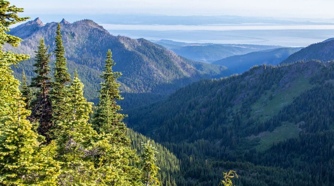 View from Hurricane Ridge in Olympic National Park