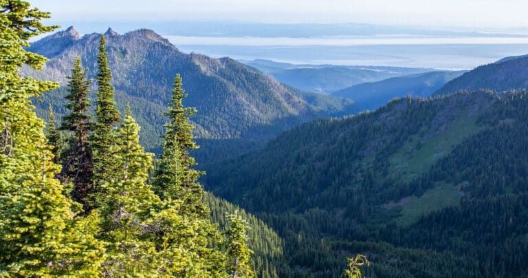View from Hurricane Ridge in Olympic National Park