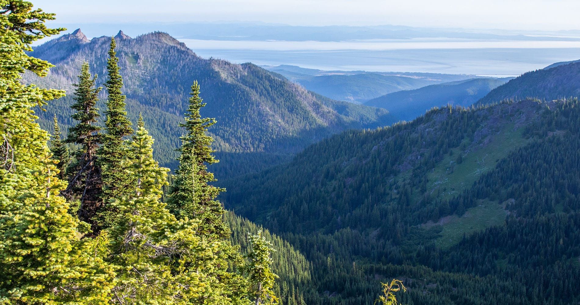 View from Hurricane Ridge in Olympic National Park