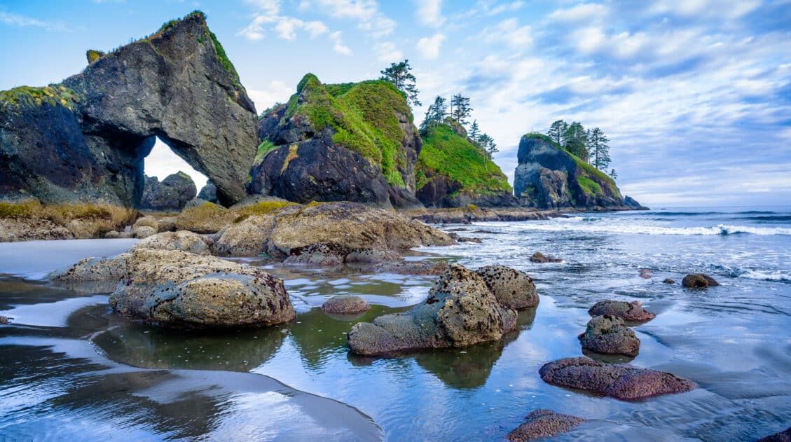 Olympic National Park