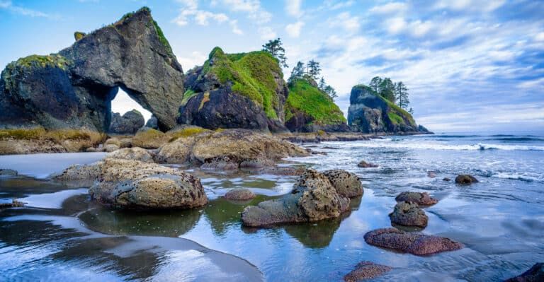 Olympic National Park