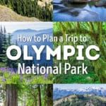 How to plan a trip to Olympic National Park in Washington