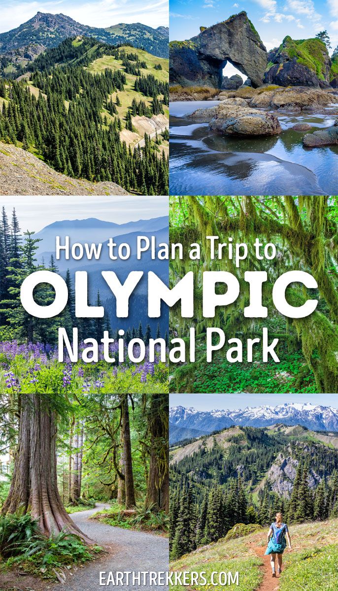 How to plan a trip to Olympic National Park in Washington