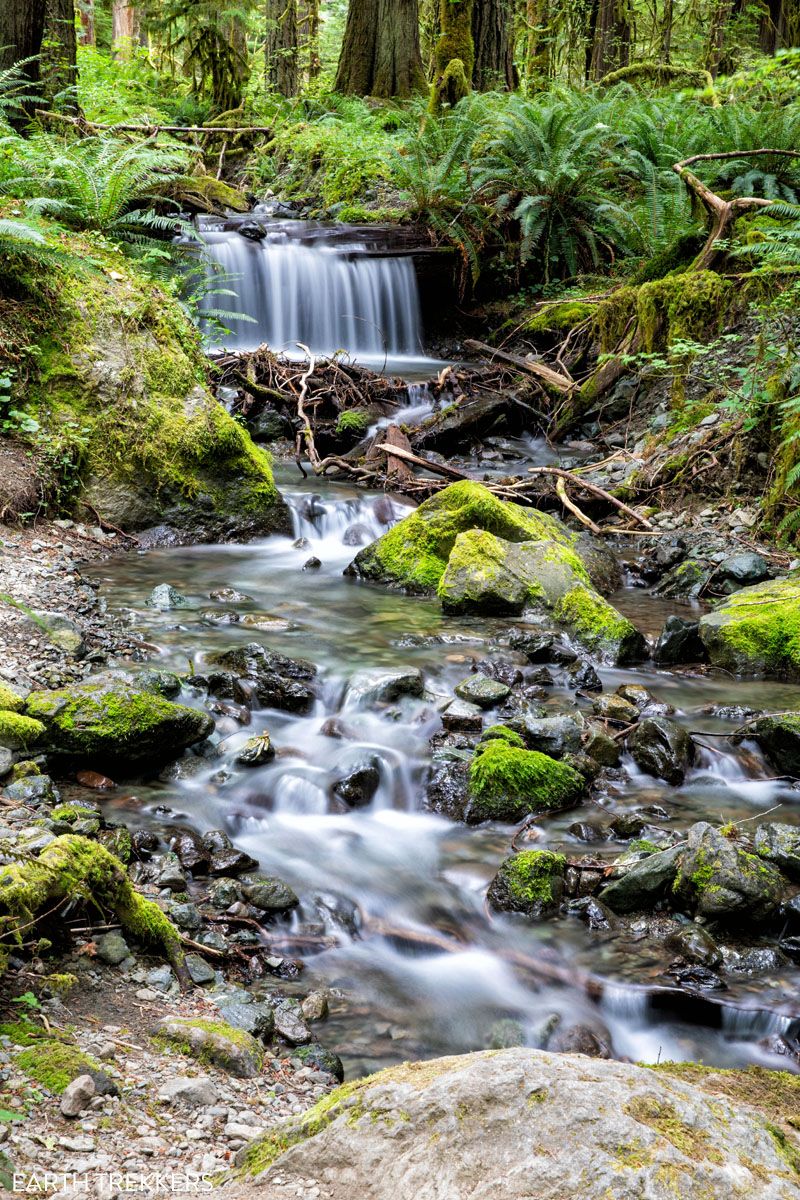 Olympic National Park Waterfall in Staircase
