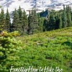 The Skyline Trail Loop is one of the best hikes in Mt. Rainier National Park. See it in photos and plan your hike with our map and step-by-step guide.