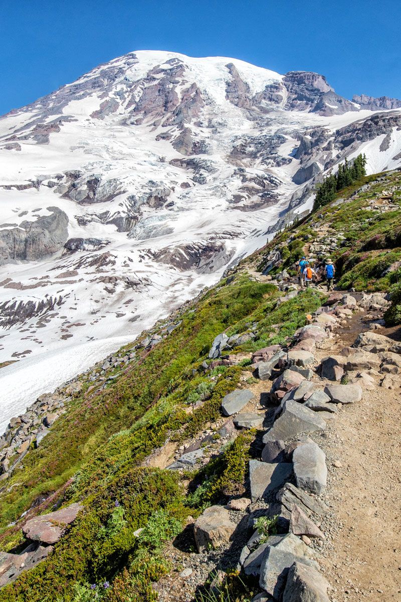 Skyline Trail Mount Rainier