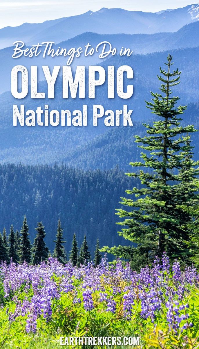 Best things to do in Olympic National Park: Hurricane Ridge, Hoh Rainforest, Shi Shi Beach, Ruby Beach, La Push Beaches, Mount Storm King, Lake Crescent.
