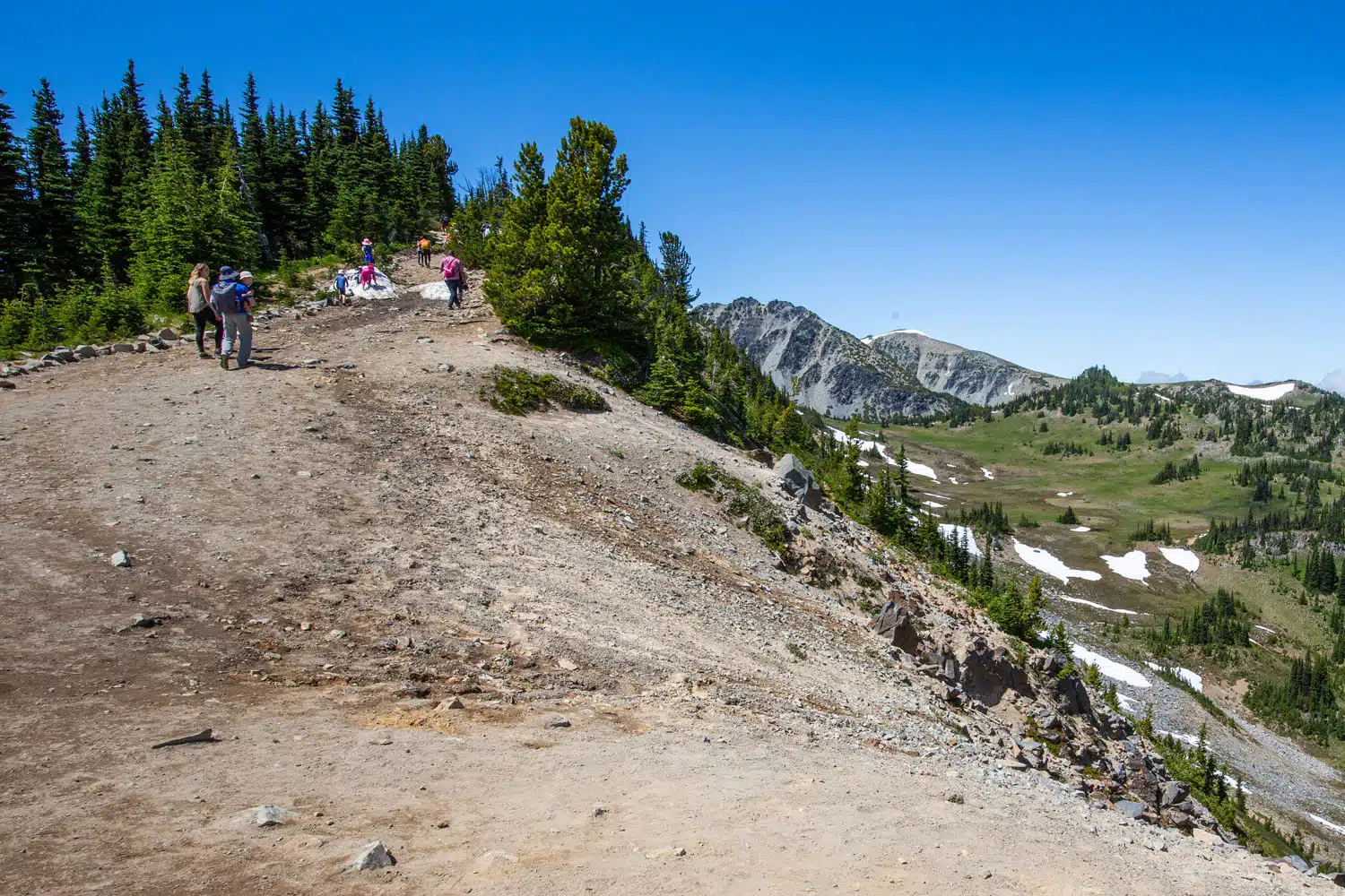 Up the Sourdough Ridge Trail