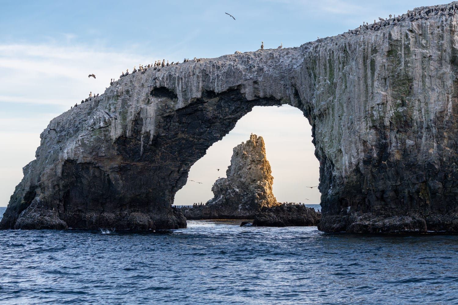 Anacapa Island Channel Islands