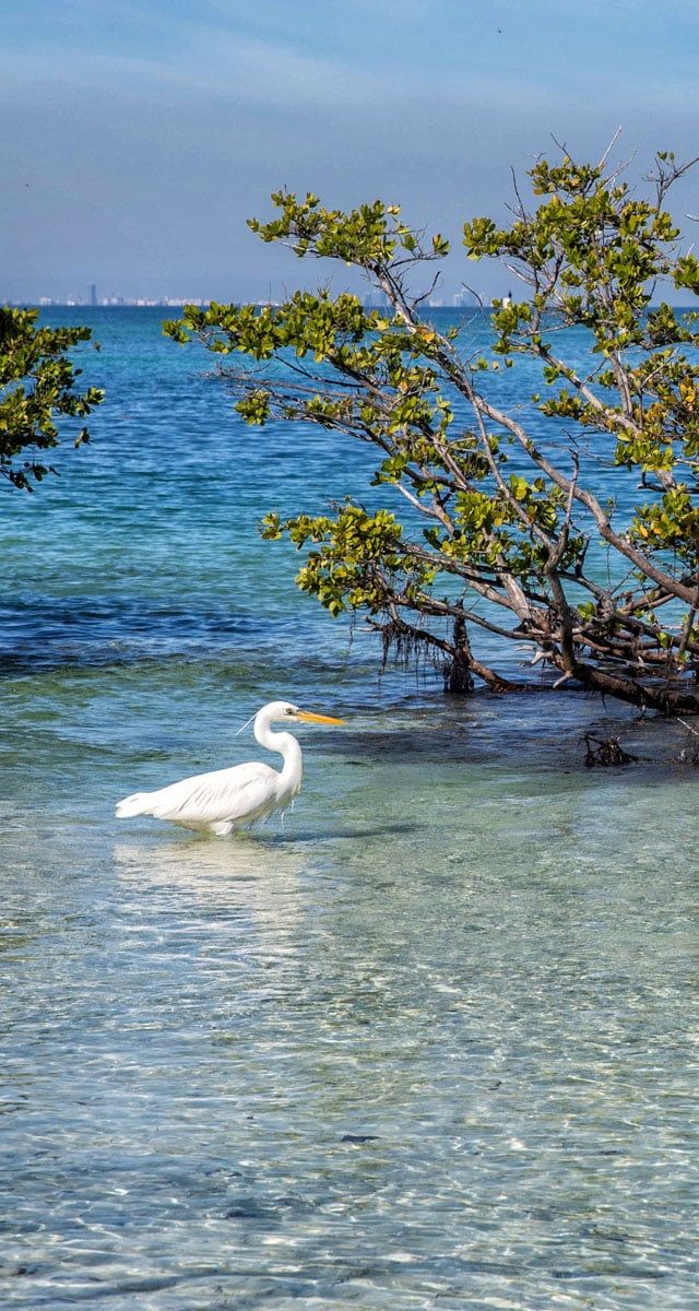 Biscayne National Park