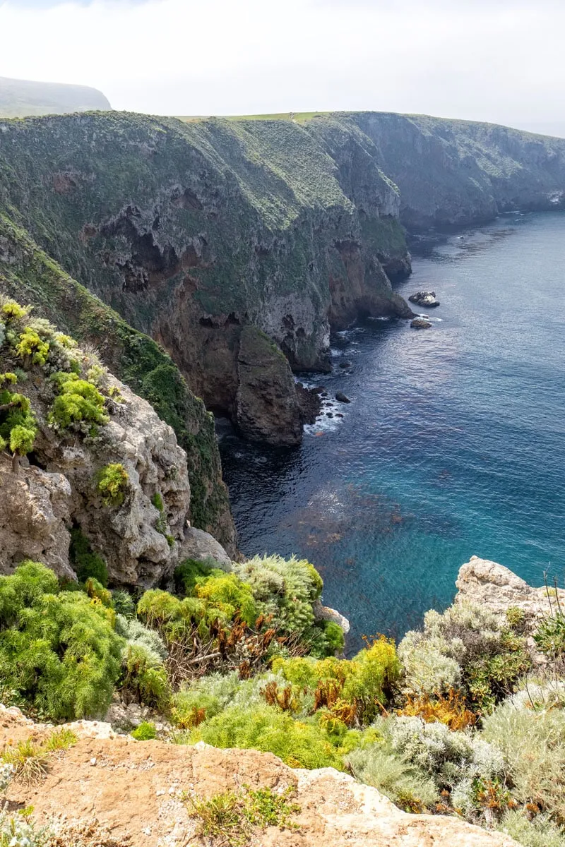Channel Islands