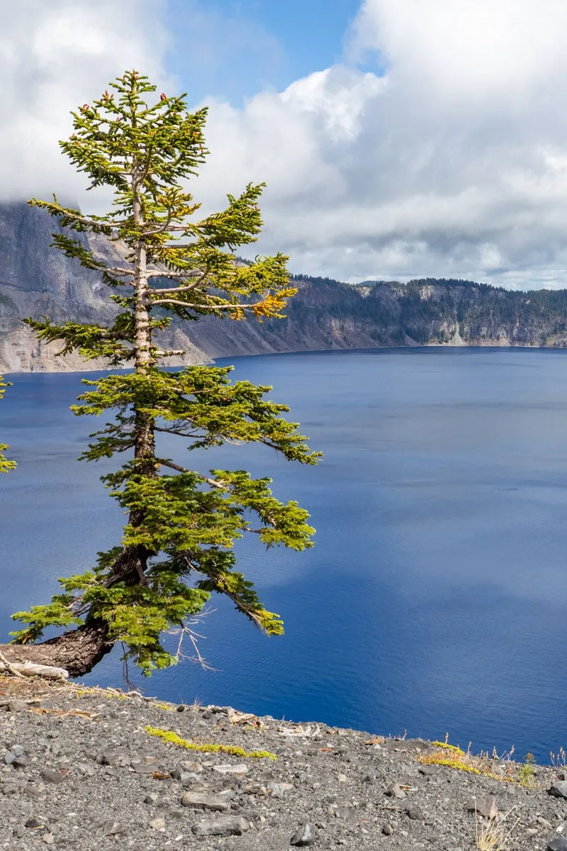 Crater Lake photo taken from Wizard Island