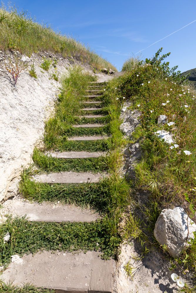 Potato Harbor Trail Steps
