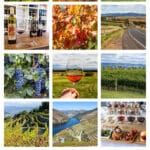 Best wine regions around the world: Tuscany, Provence, Rioja, Mendoza, Barossa and McLaren Vale in South Australia, New Zealand, Alsace, Mount Etna, Napa, and more.