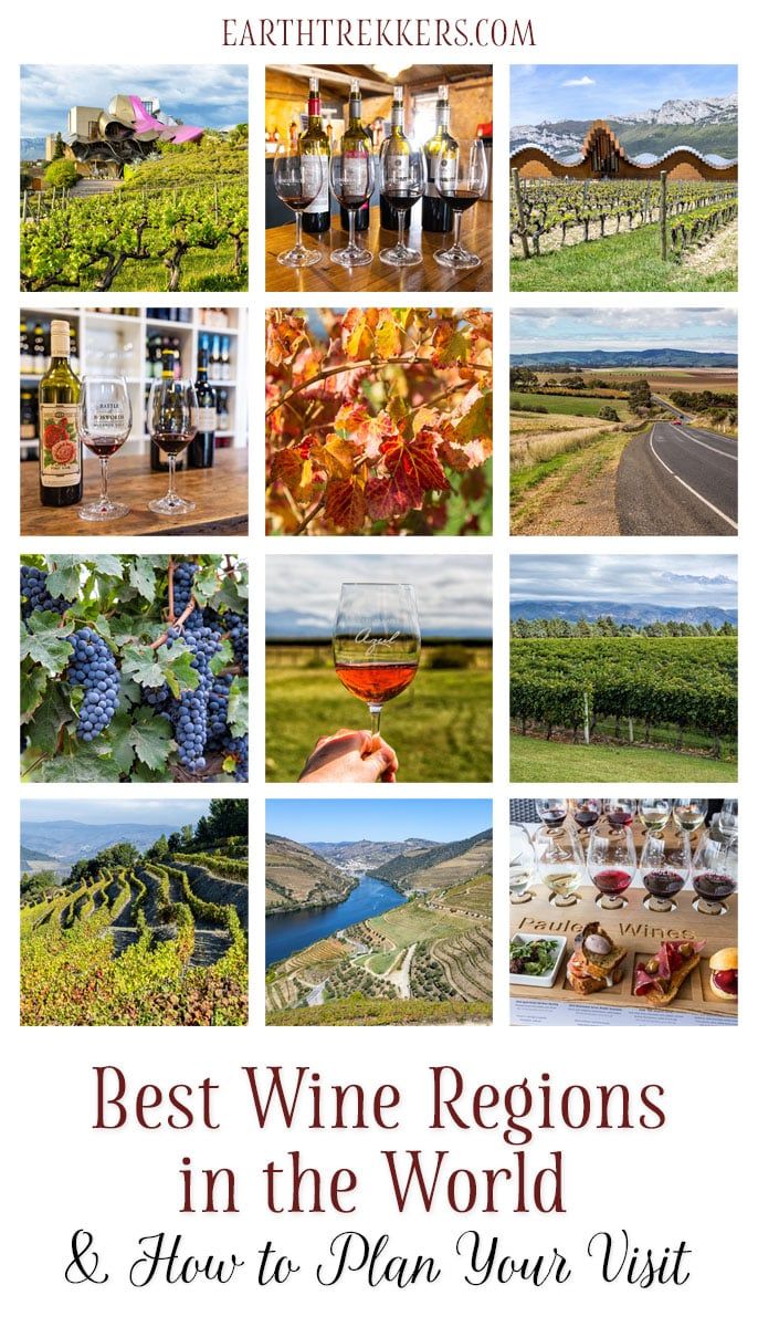 Best wine regions around the world: Tuscany, Provence, Rioja, Mendoza, Barossa and McLaren Vale in South Australia, New Zealand, Alsace, Mount Etna, Napa, and more.