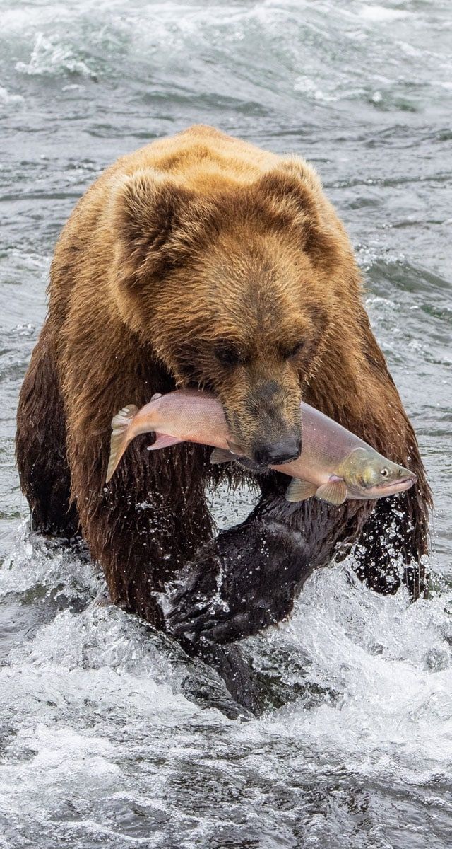 Alaska Itinerary