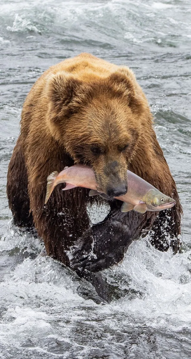 Alaska Itinerary
