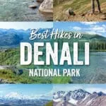 Best hikes in Denali National Park: Savage Alpine Trail, Thorofare Ridge Trail, Mount Healy Overlook, Triple Lakes Trail, River Gorge Trail, Horseshoe Lake Trail, Savage River Loop, and more.