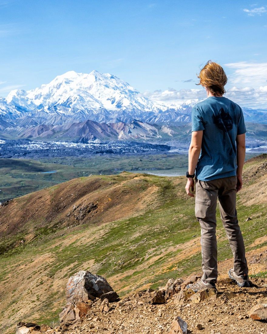 Best Hikes in Denali National Park