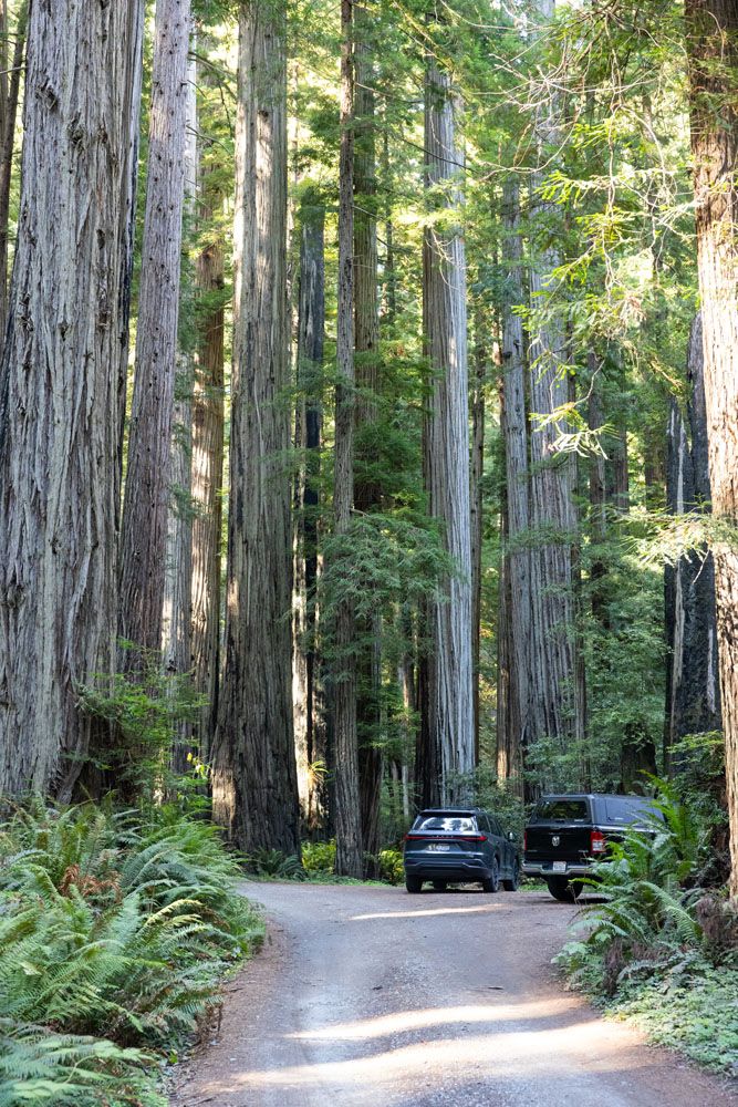 Cal Barrel Road with Cars
