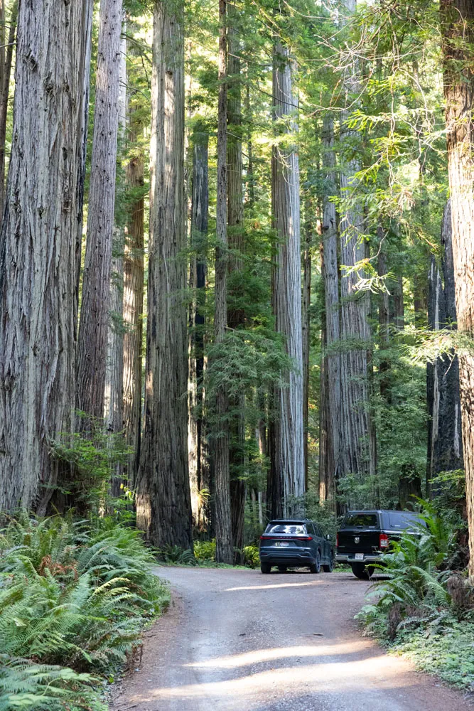 Cal Barrel Road with Cars