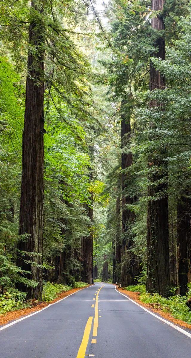 California Itinerary