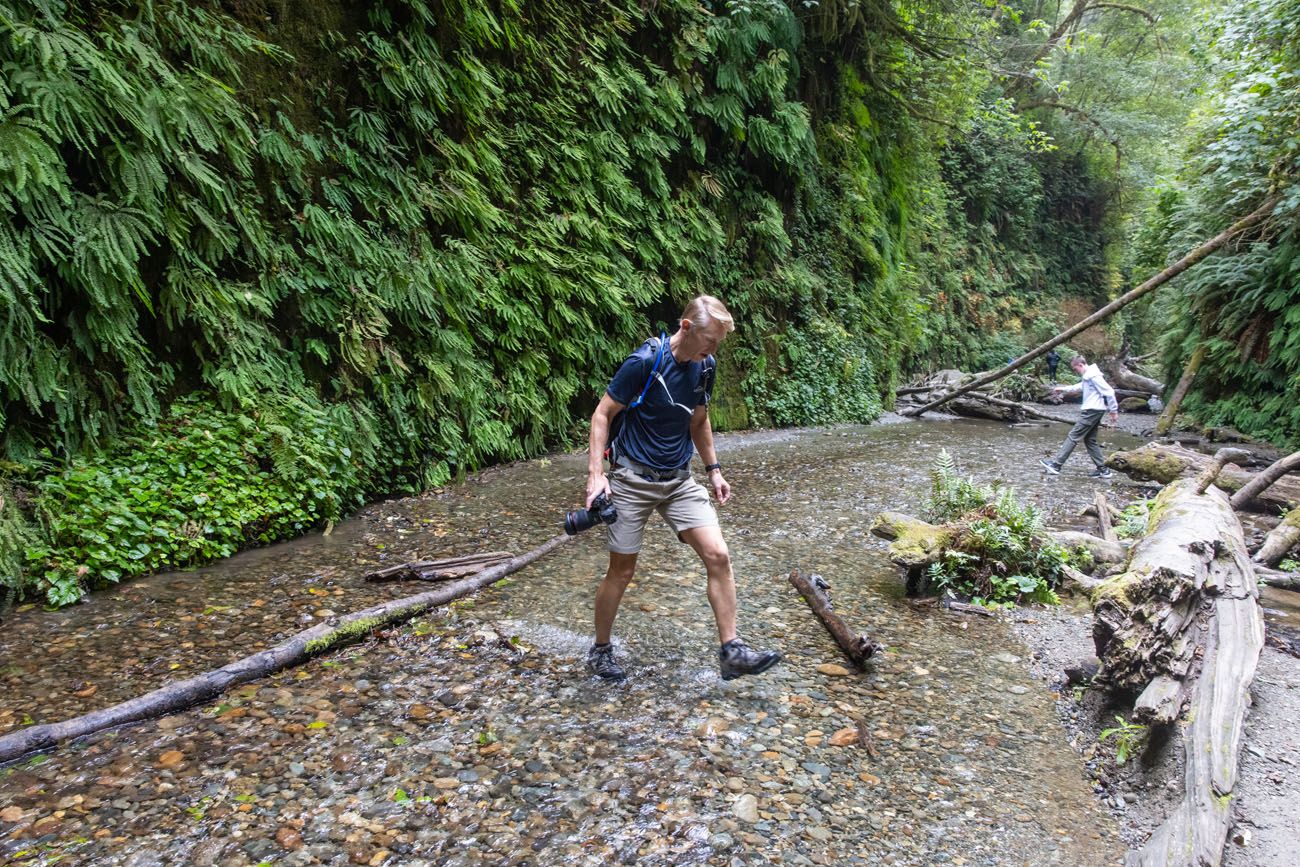 Fern Canyon Creek Crossing