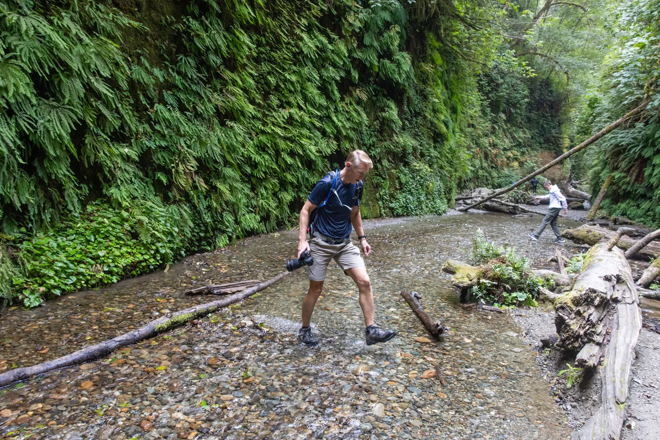 Fern Canyon Creek Crossing