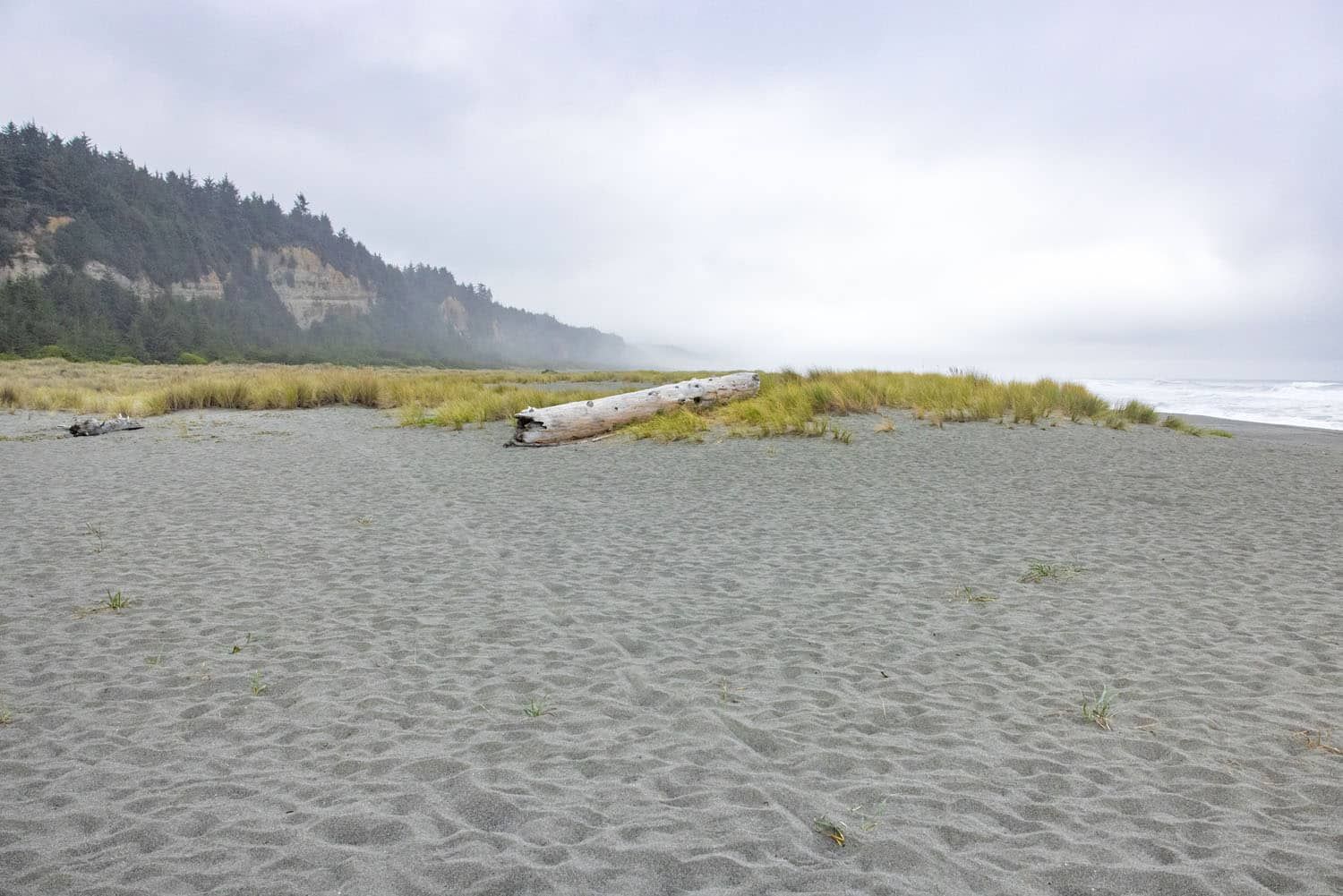 Gold Bluffs Beach California